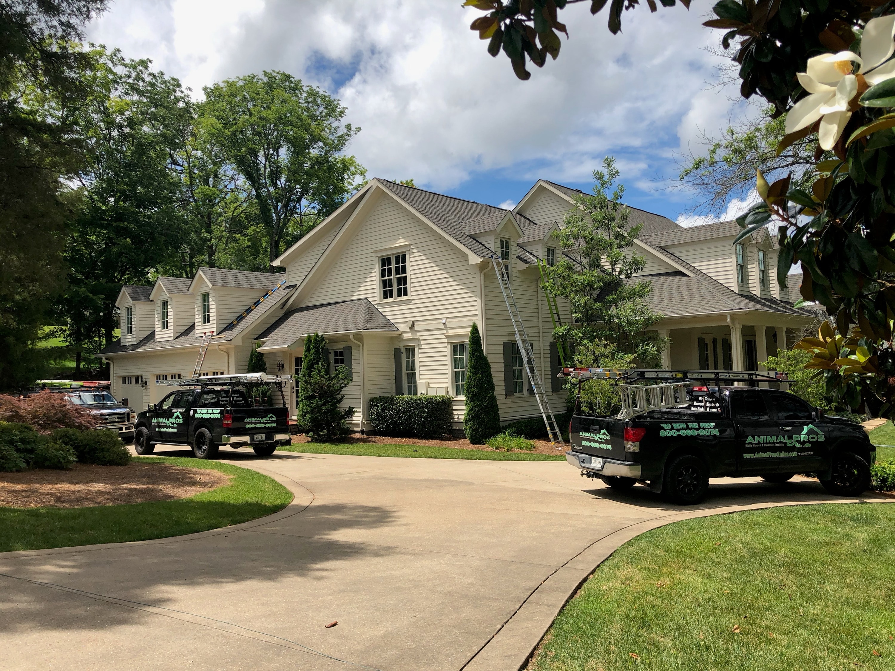 Residential Removal